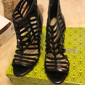 Limited education of GIANNI BINI.